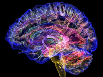 MB屌国特级黄片大脑植入物有助于严重头部损伤恢复